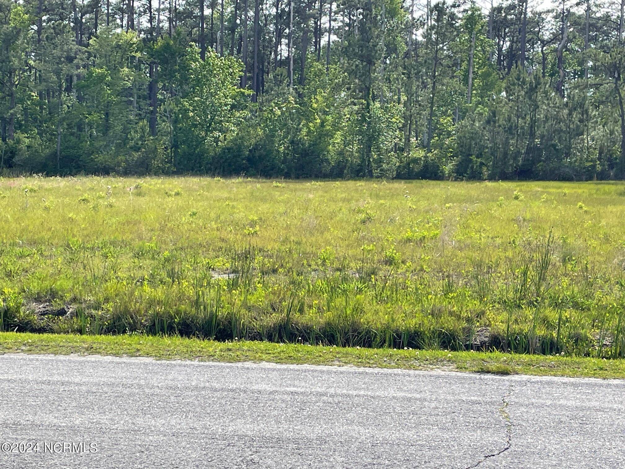 Sea Level, NC 28577,00 Nelson Neck RD