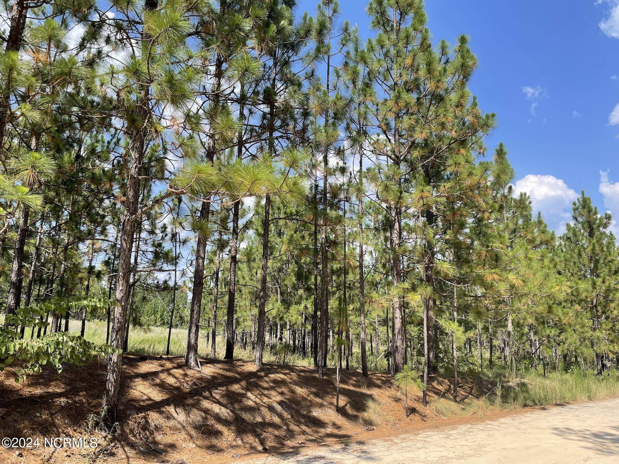 West End, NC 27376,Lot 3 Meredith LN