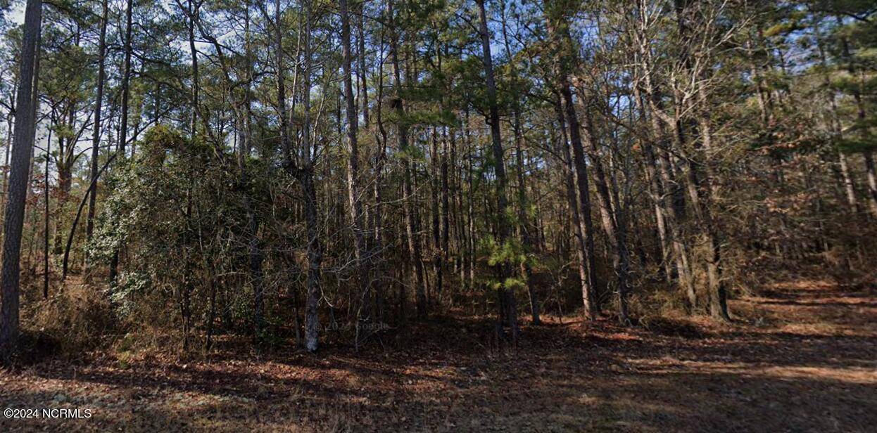 Vass, NC 28394,Tbd Riverbirch DR