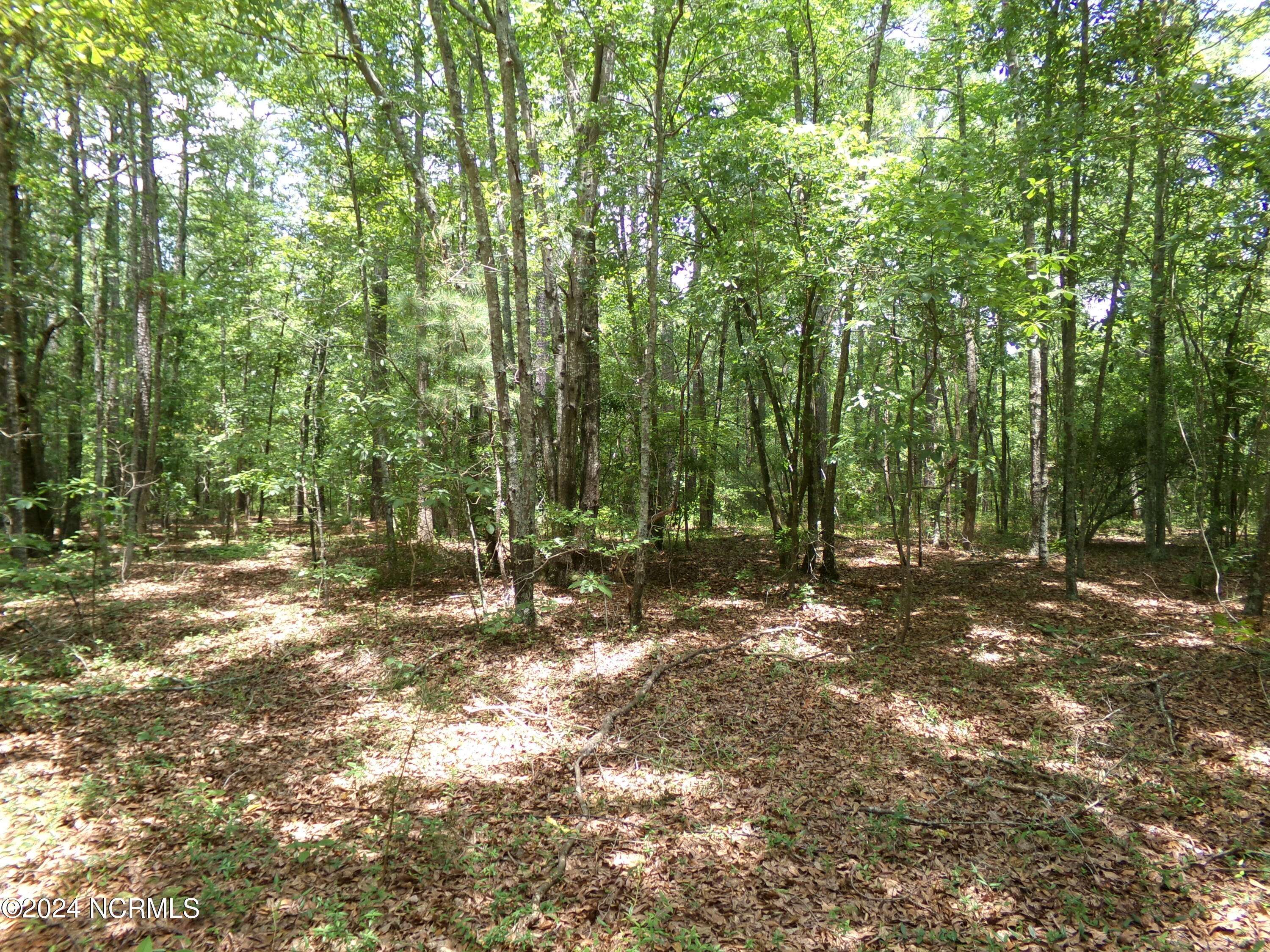 Laurinburg, NC 28352,Lot # 6 Arch Mcleod RD