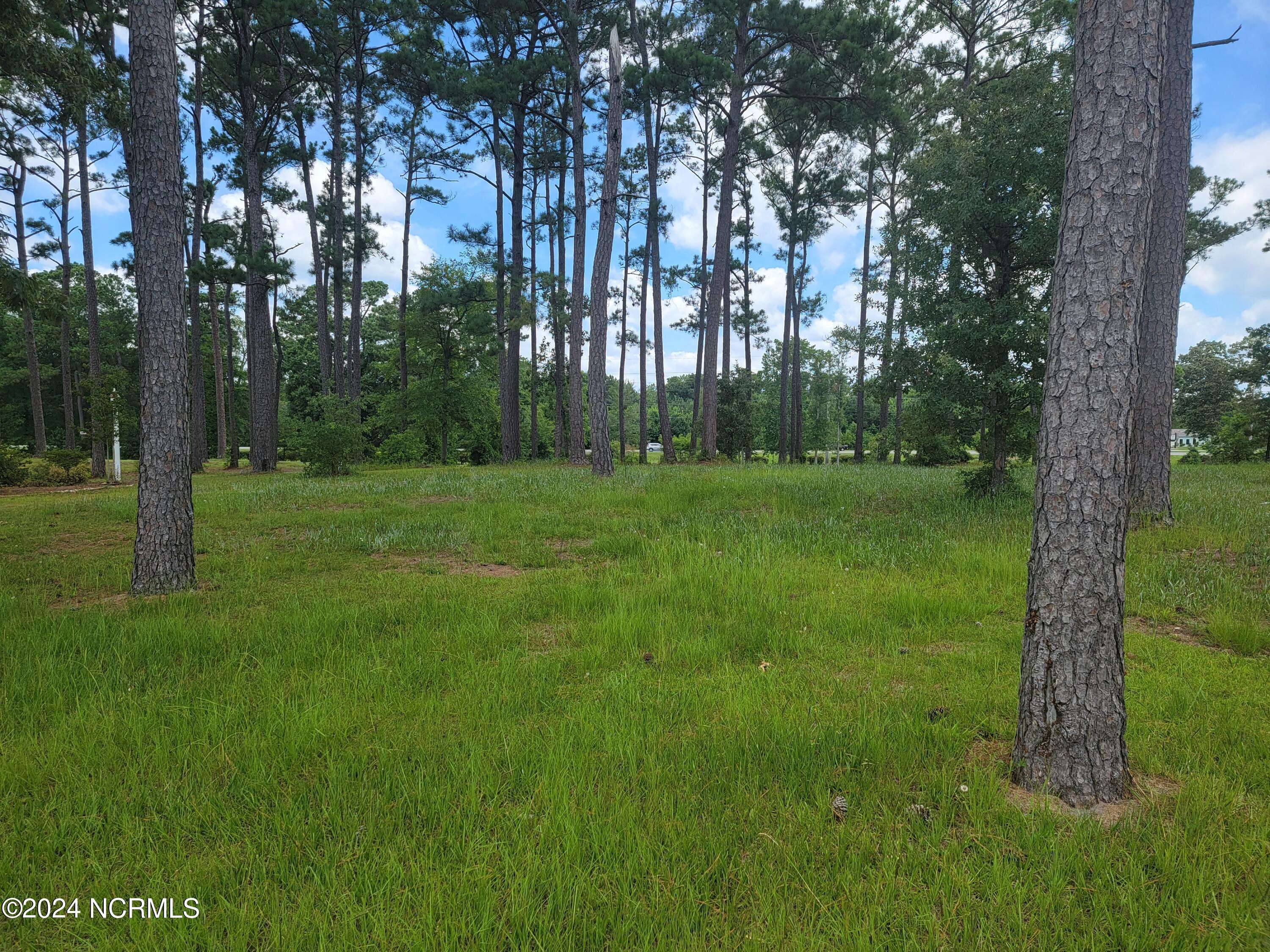 Ocean Isle Beach, NC 28469,63 Windsor CIR SW