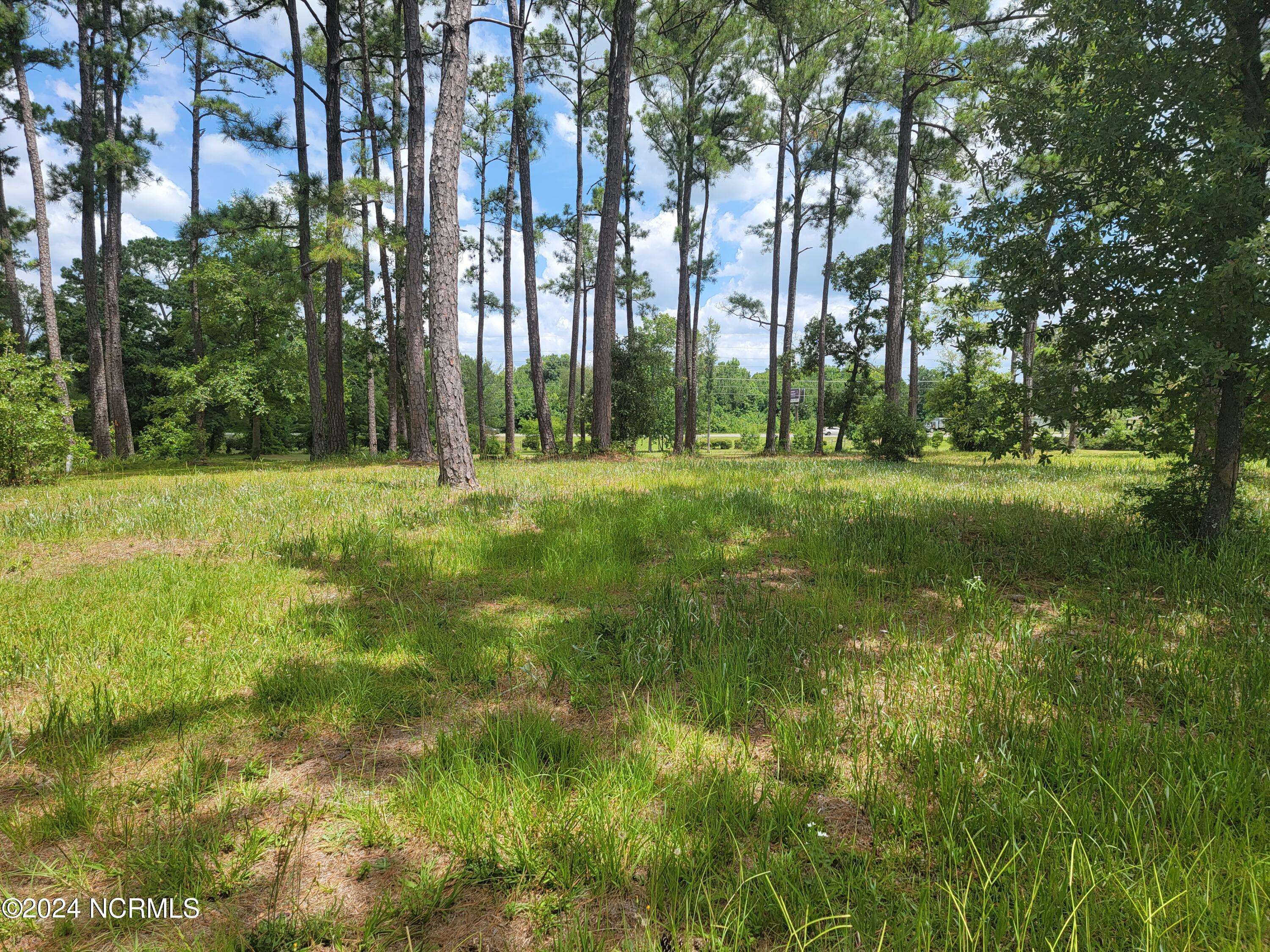 Ocean Isle Beach, NC 28469,63 Windsor CIR SW