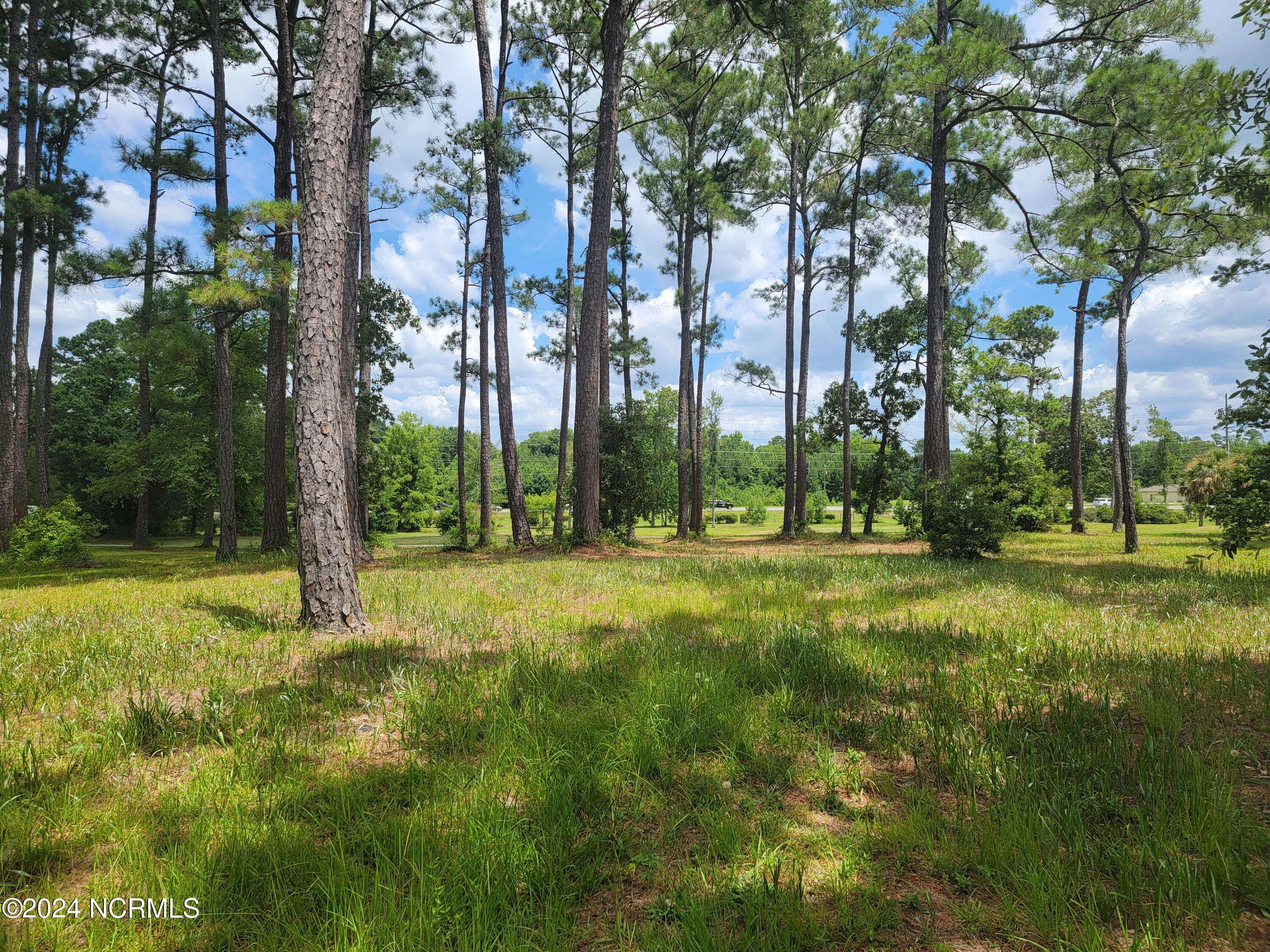 Ocean Isle Beach, NC 28469,63 Windsor CIR SW