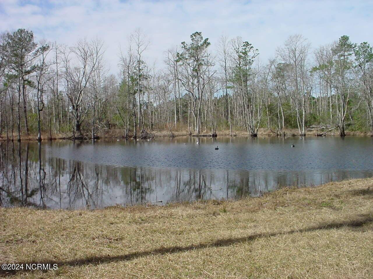 Rocky Point, NC 28457,Lot #1 Harts LN