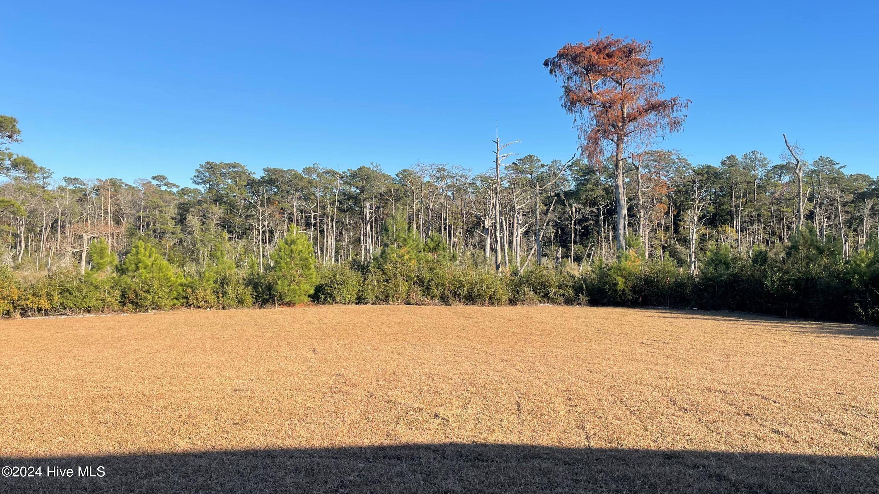 Supply, NC 28462,1223 Rippling Cove LOOP SW