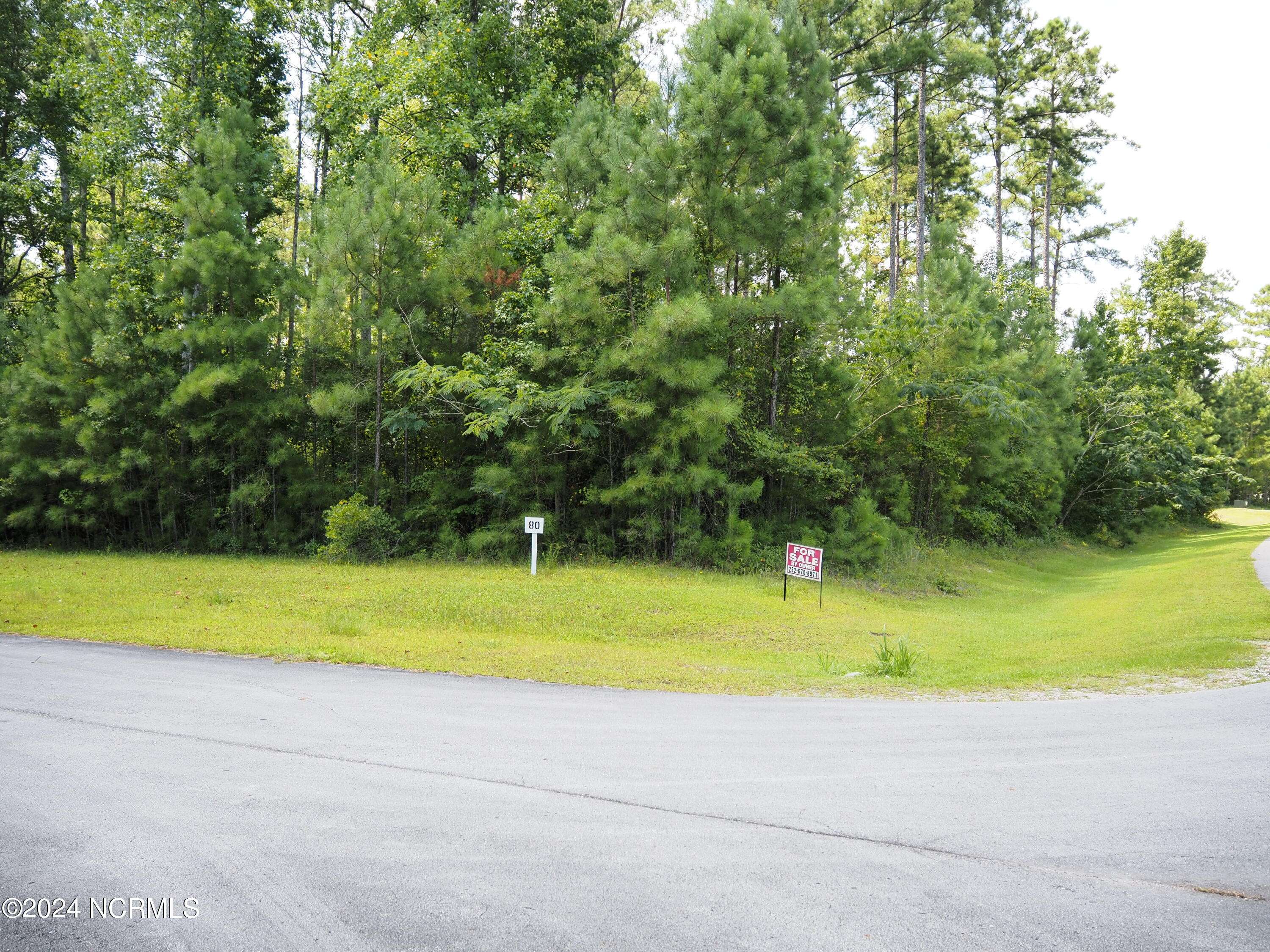 Havelock, NC 28532,100 Palm CIR