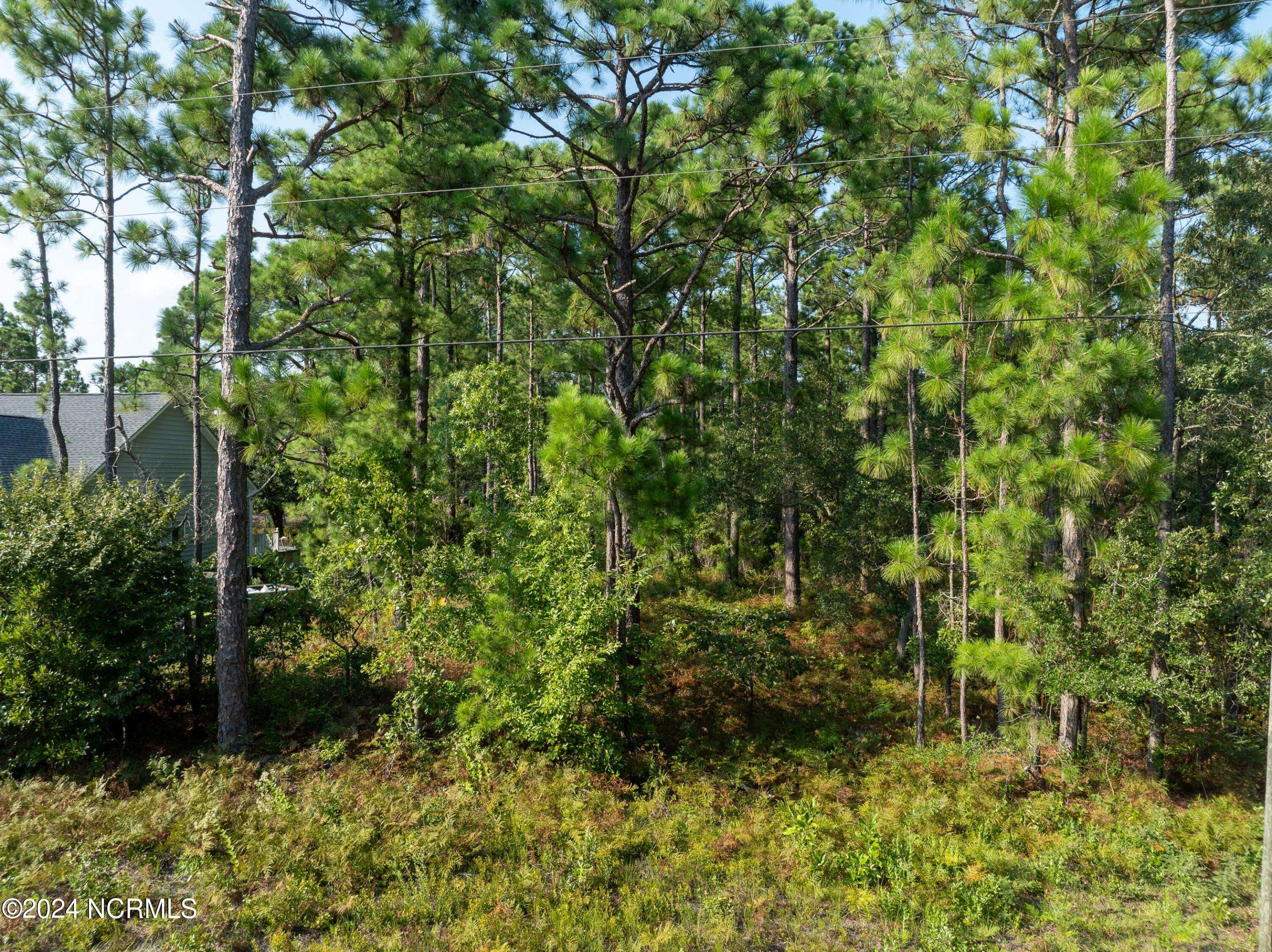 Winnabow, NC 28479,9324 Southern BLVD SE