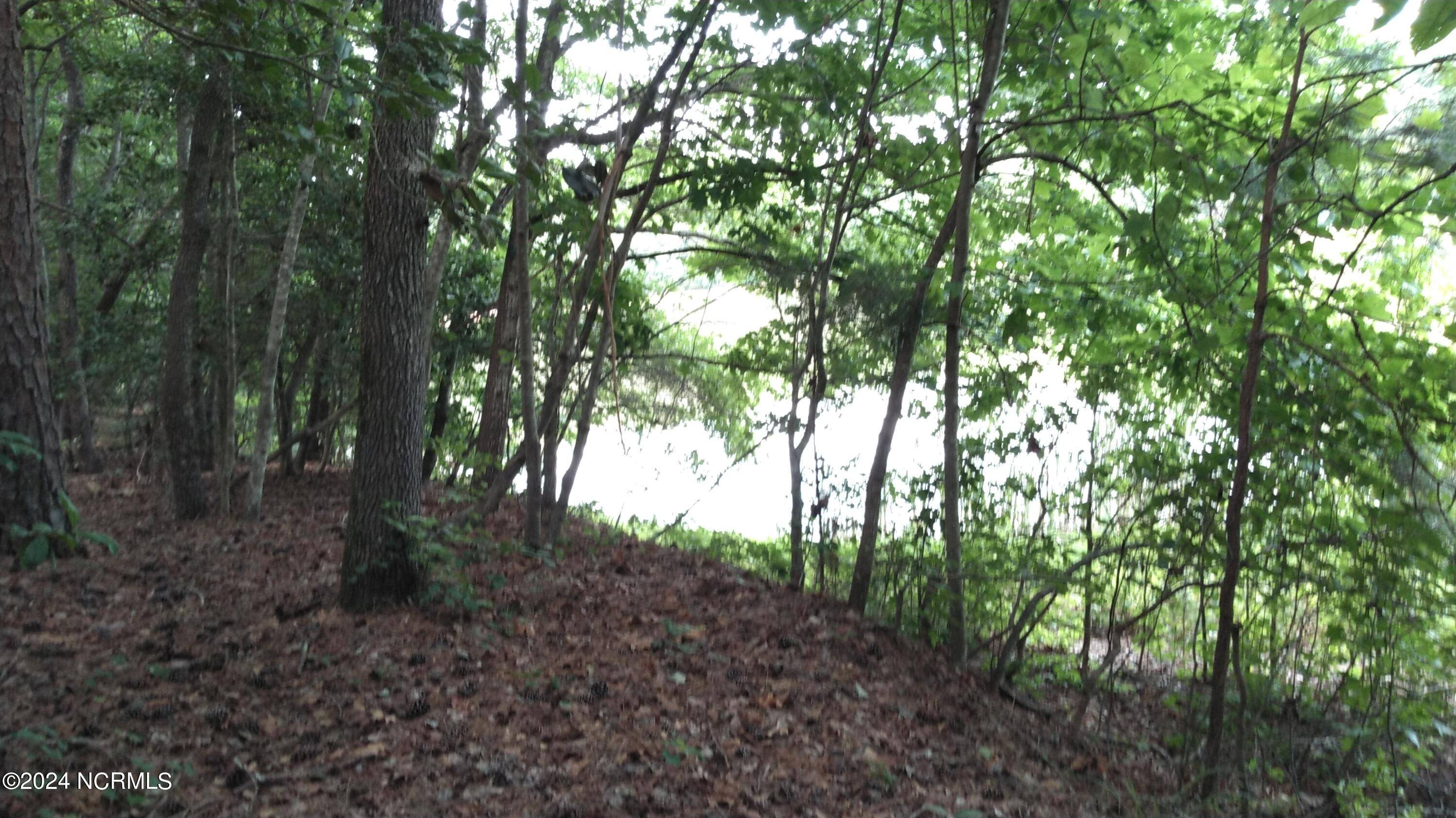 Carthage, NC 28327,Lot 106 Palomino RD