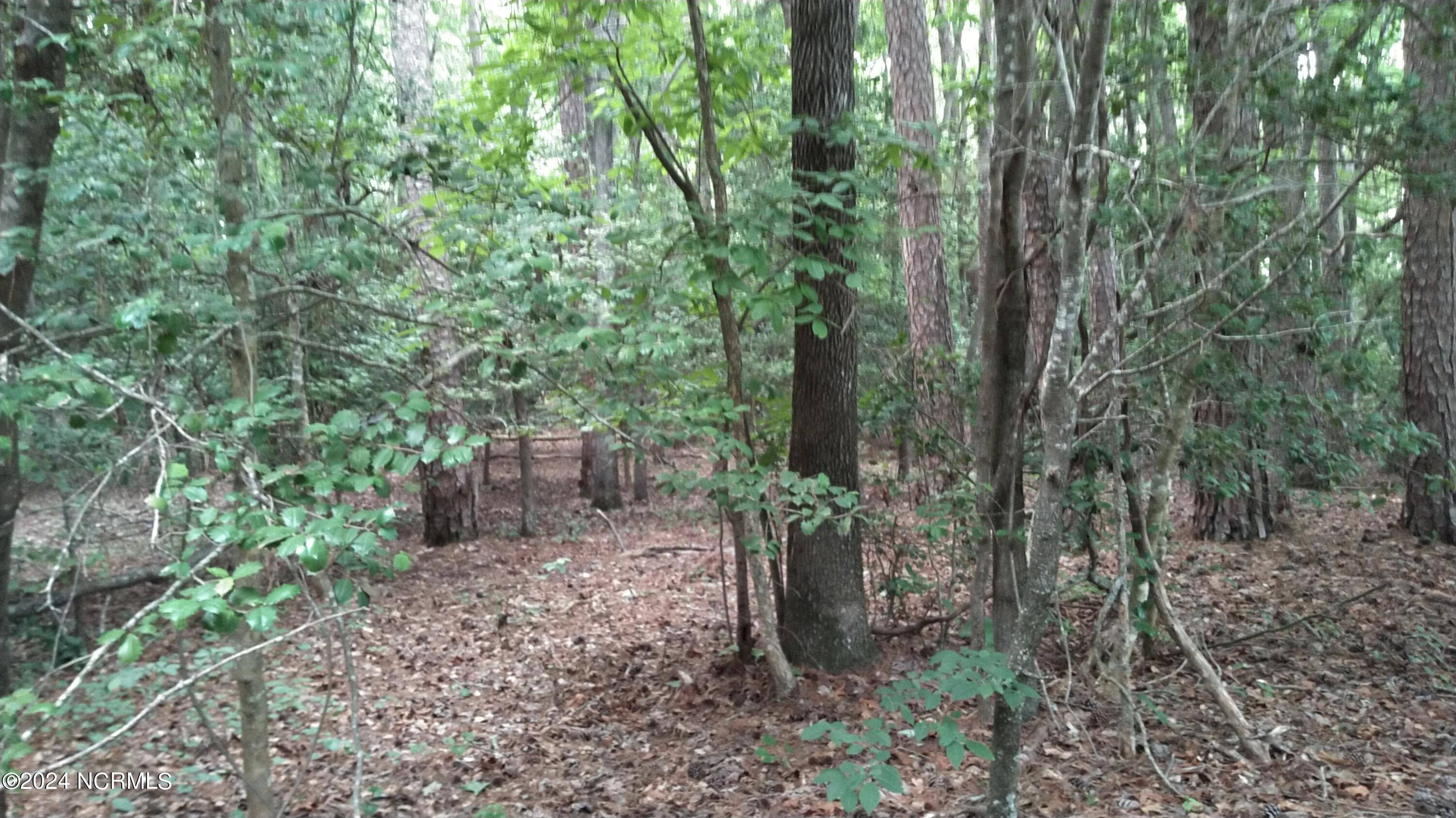 Carthage, NC 28327,Lot 106 Palomino RD