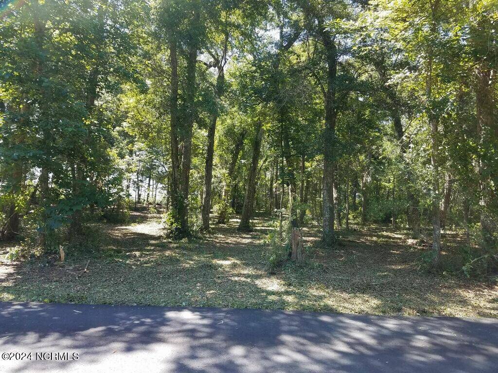 Calabash, NC 28467,L-2 Schuyler DR SW