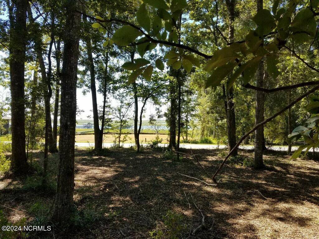 Calabash, NC 28467,L-2 Schuyler DR SW