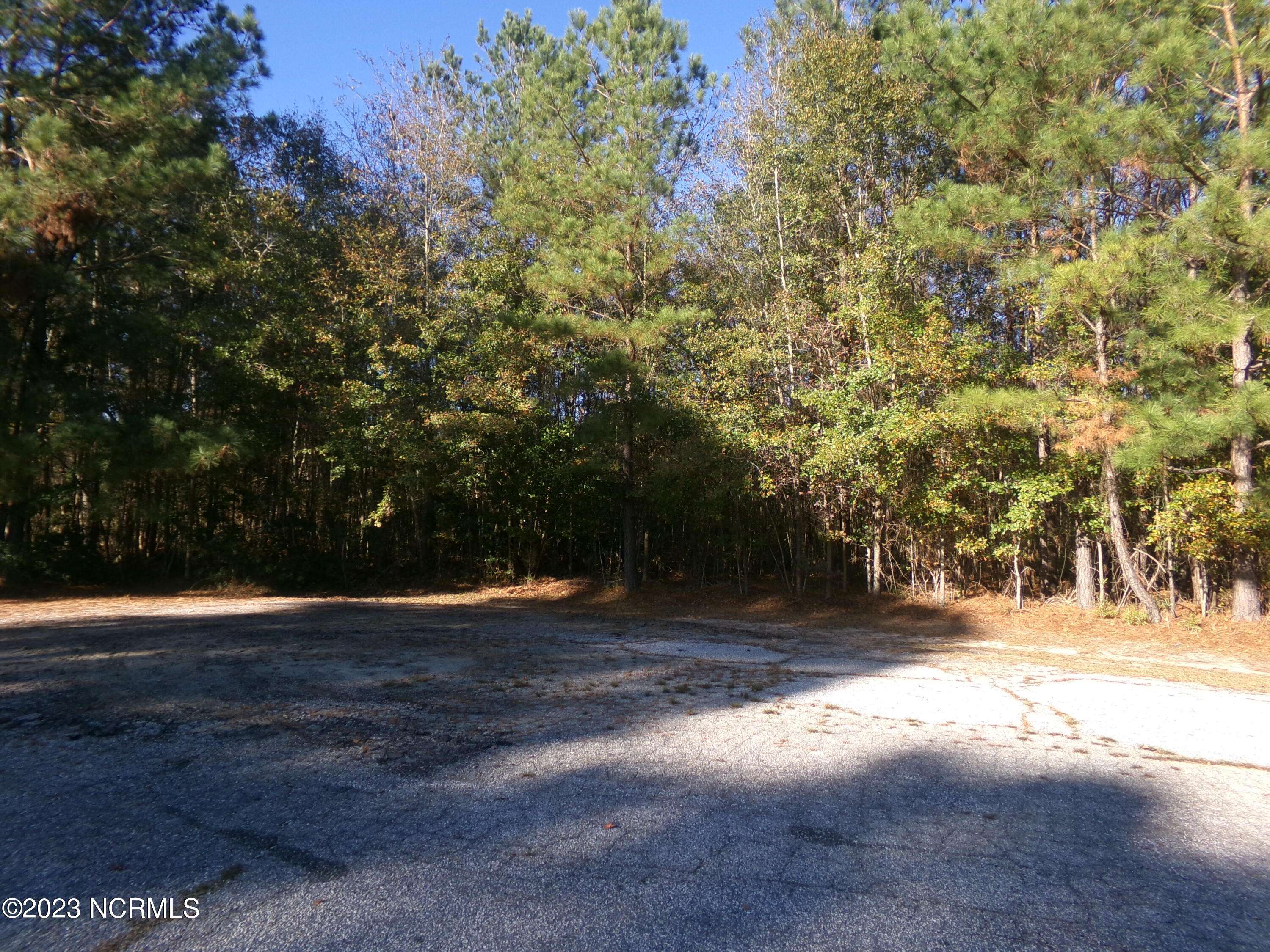 Whiteville, NC 28472,Lot 9 Acie Shipman Road