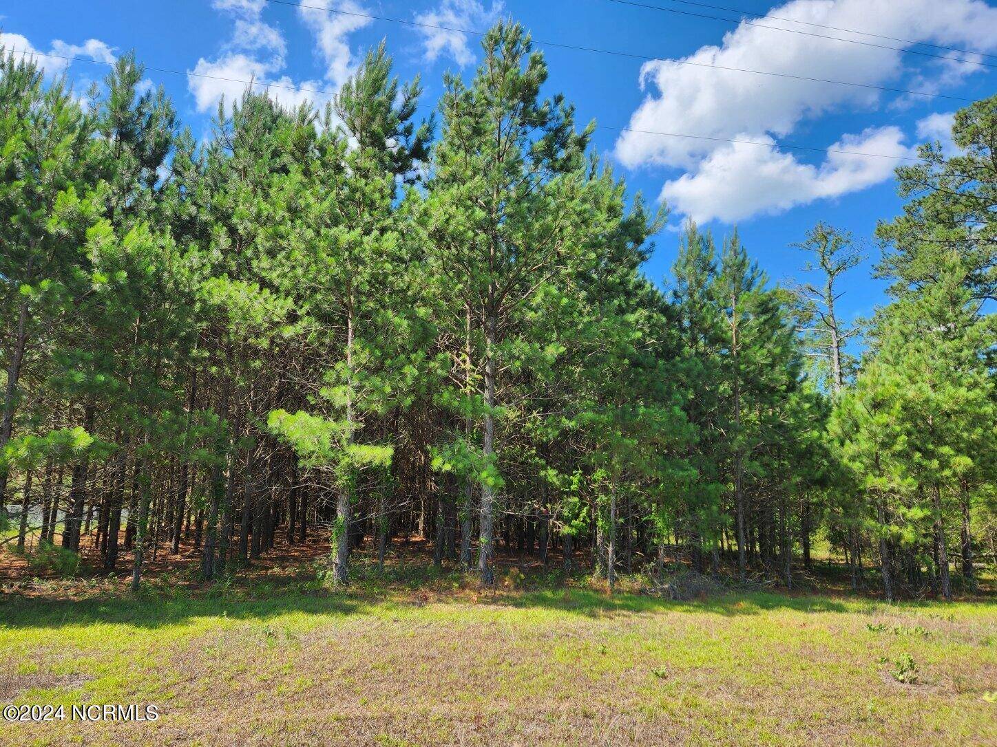 Grifton, NC 28530,0 Nc 118