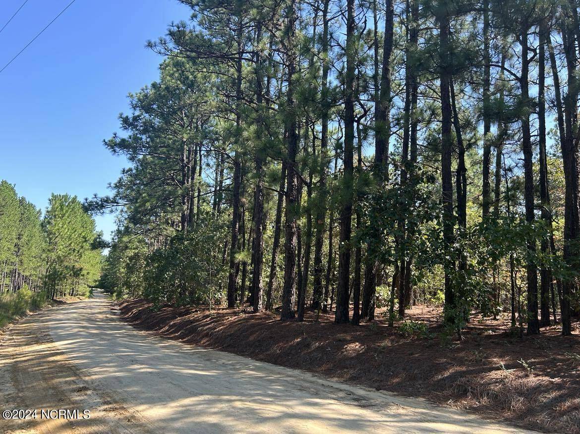 West End, NC 27376,Tbd Maplewood LN