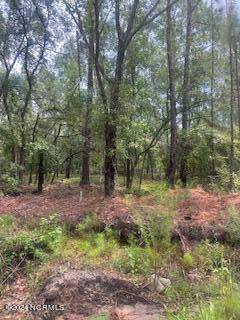 Bolivia, NC 28422,8.24 Acres Britts Cove SE