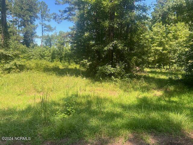 Whiteville, NC 28472,0 Pine LN