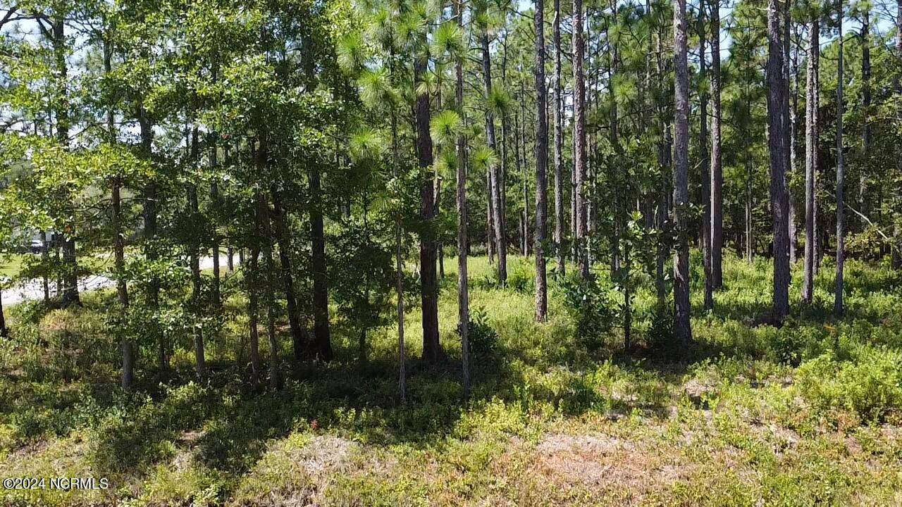 Southport, NC 28461,Lot 50 Windemere