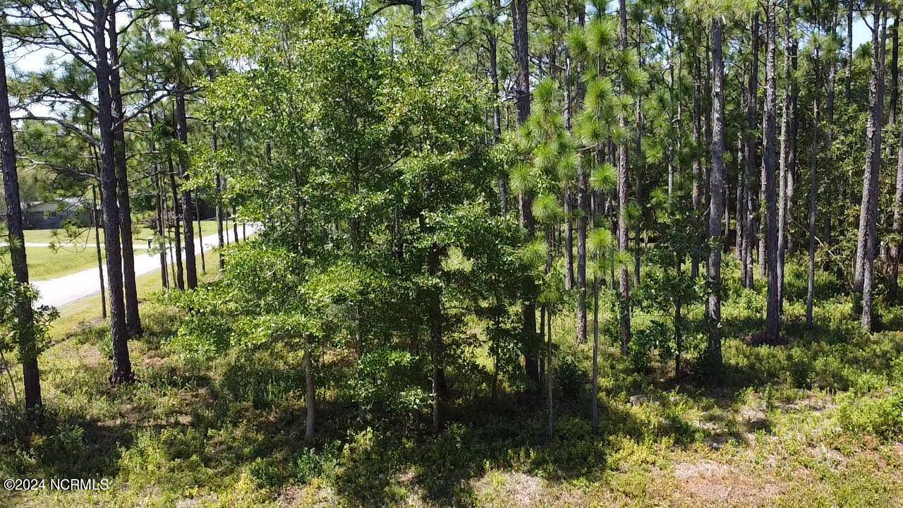 Southport, NC 28461,Lot 50 Windemere