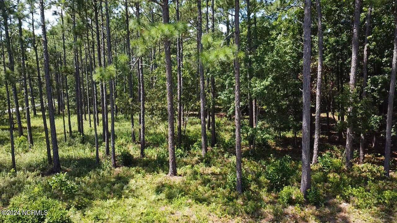 Southport, NC 28461,Lot 50 Windemere