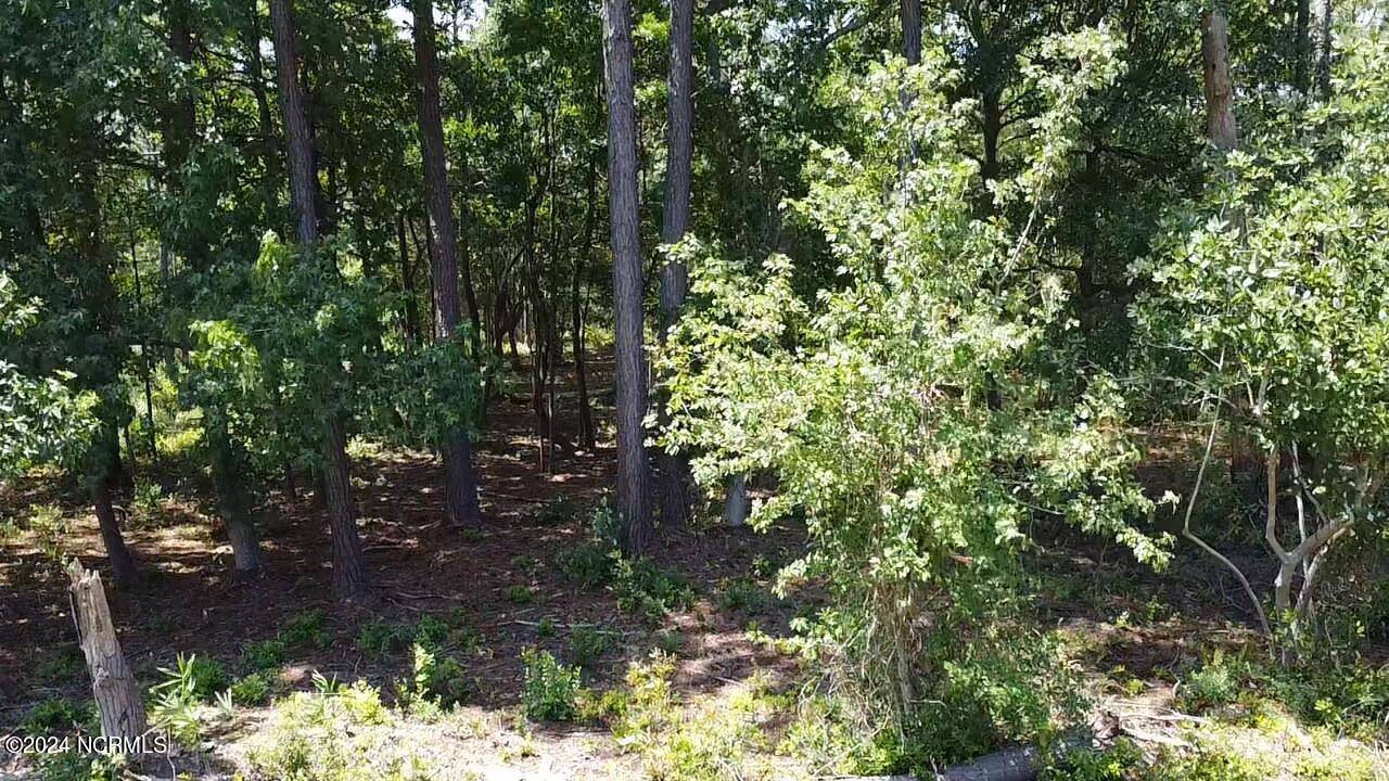 Southport, NC 28461,Lot 52 Windemere DR