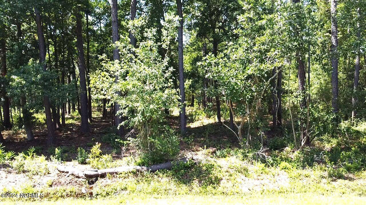 Southport, NC 28461,Lot 52 Windemere DR