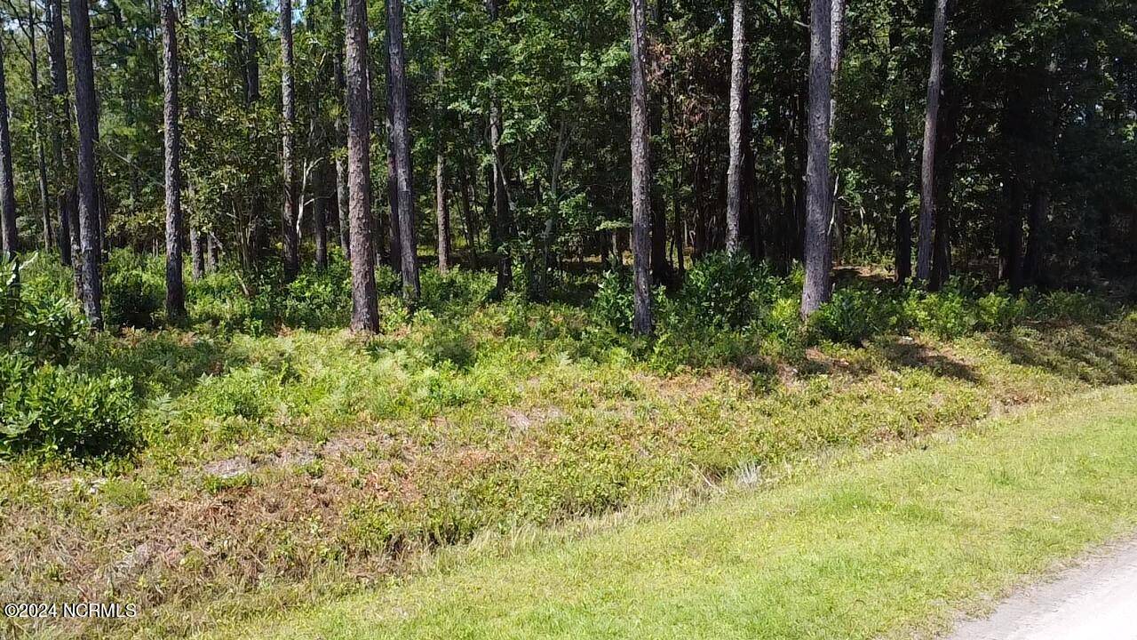 Southport, NC 28461,Lot 51 Windemere