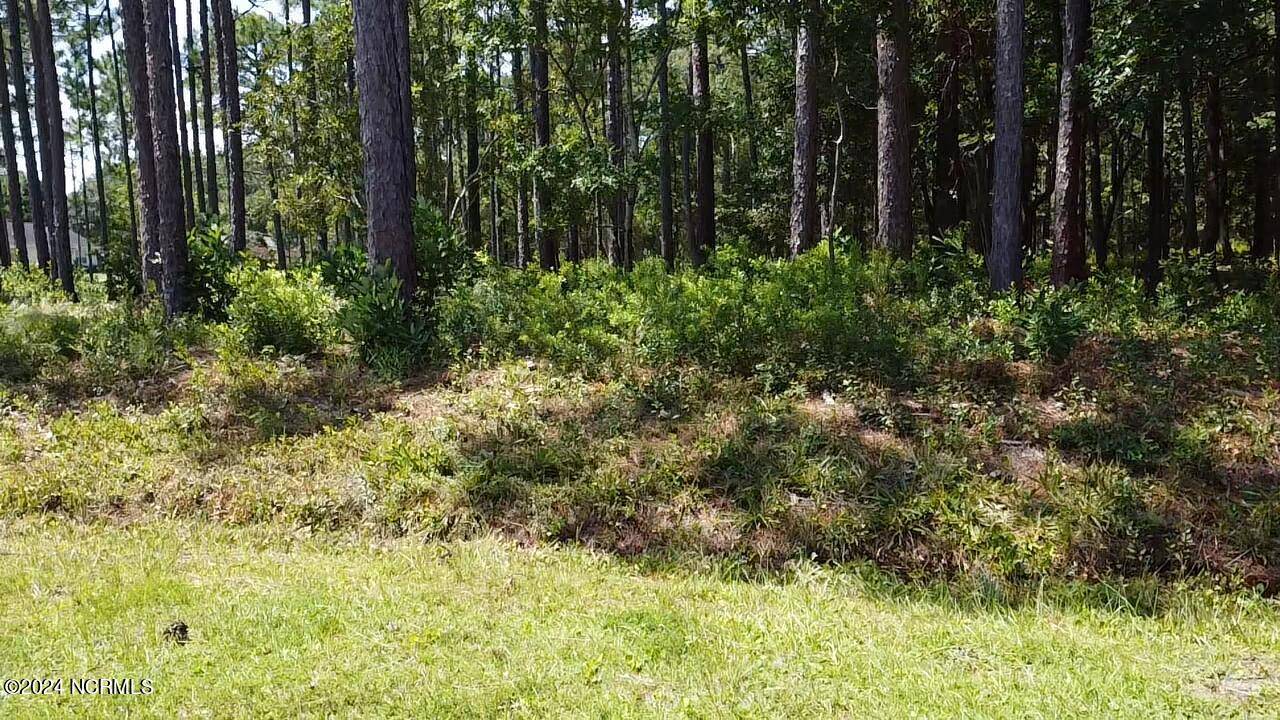 Southport, NC 28461,Lot 51 Windemere