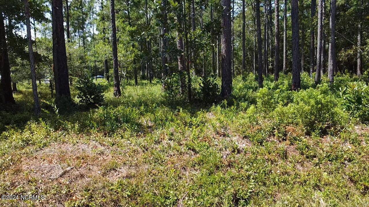 Southport, NC 28461,Lot 51 Windemere