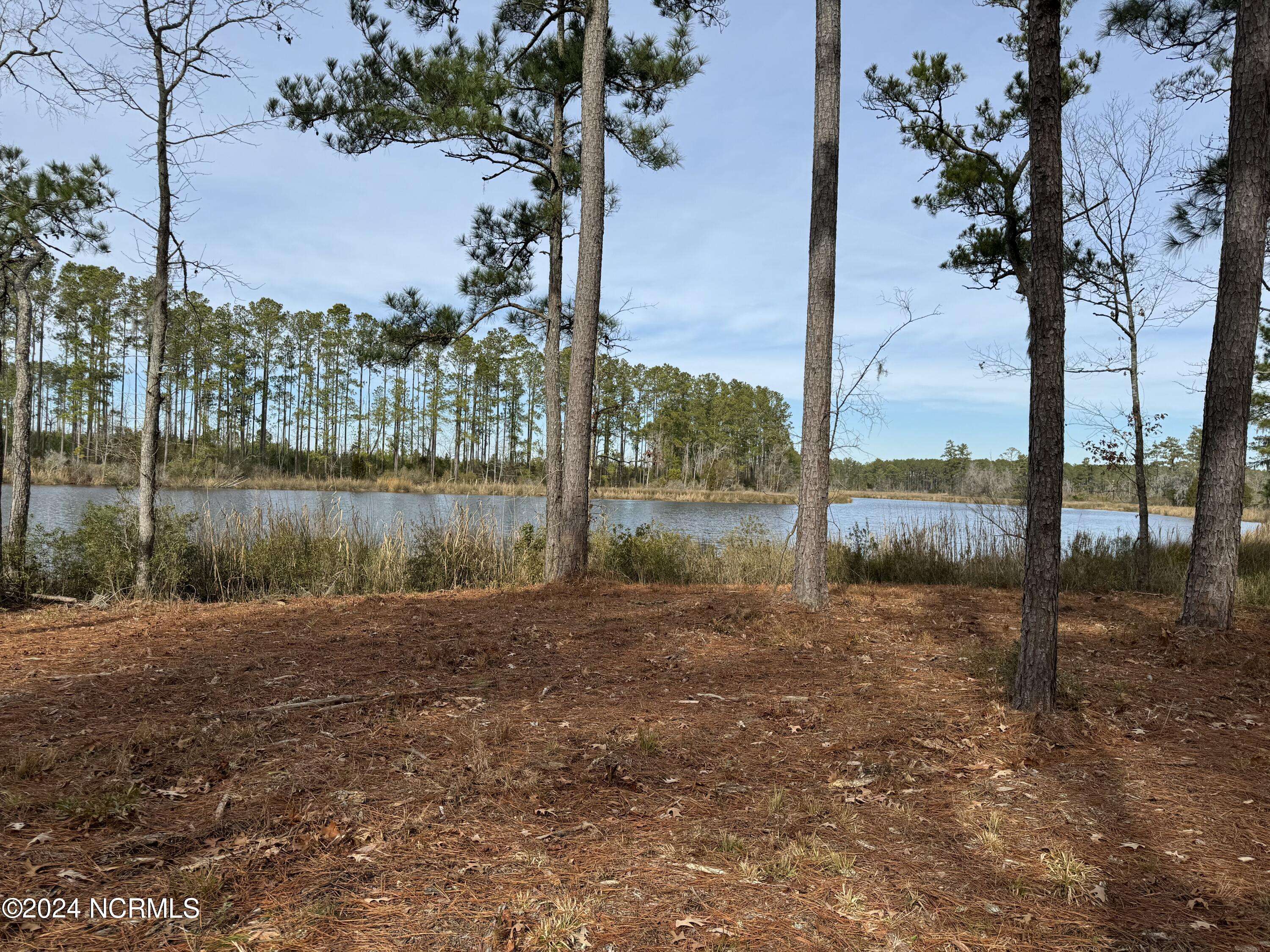 Belhaven, NC 27810,Lot 94 Bailey Pointe DR