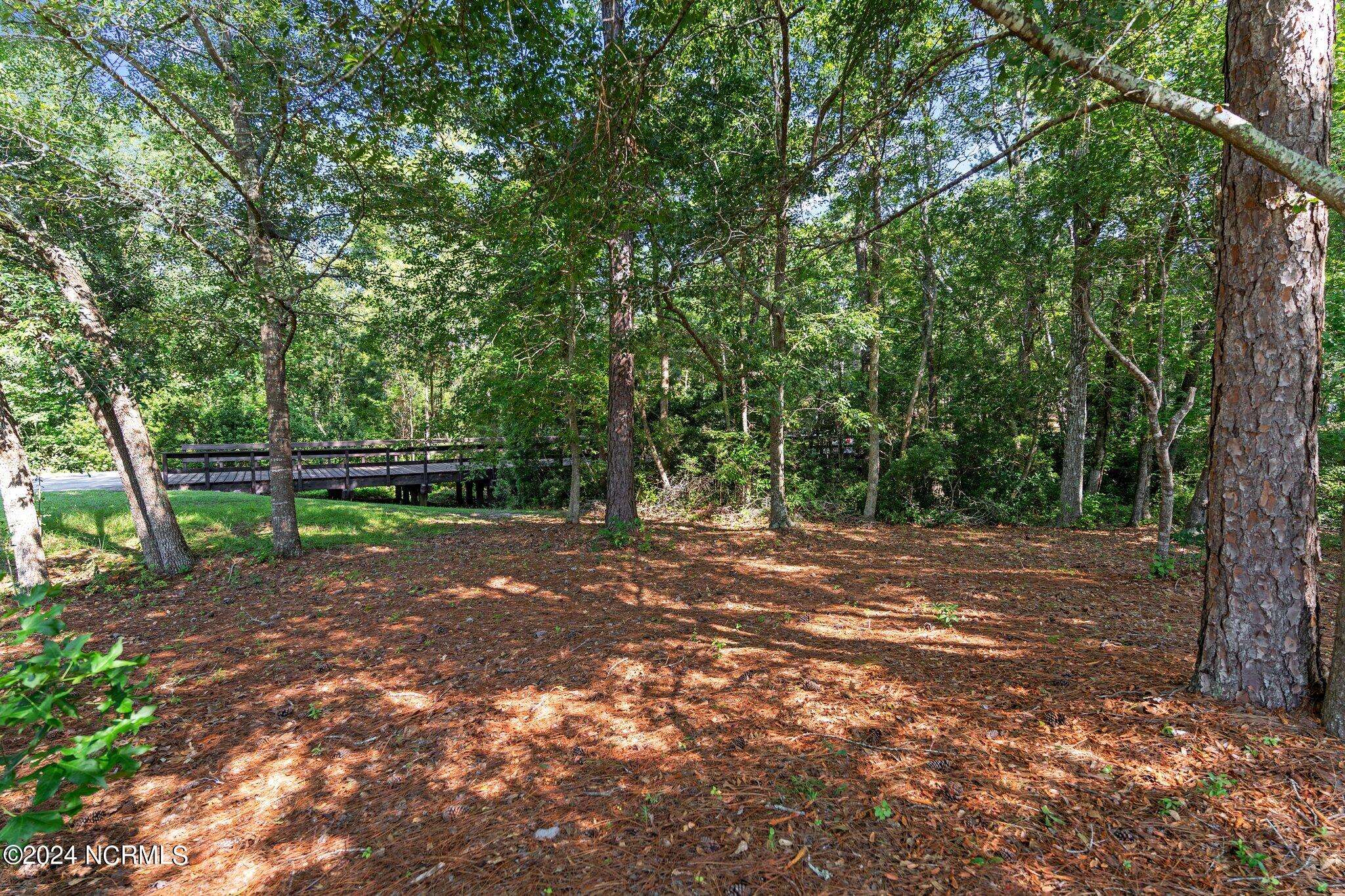 Bolivia, NC 28422,1186 Woodbridge Lane SE