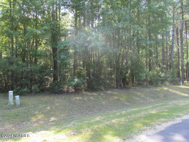 Belhaven, NC 27810,Lot 12 Stillwater DR