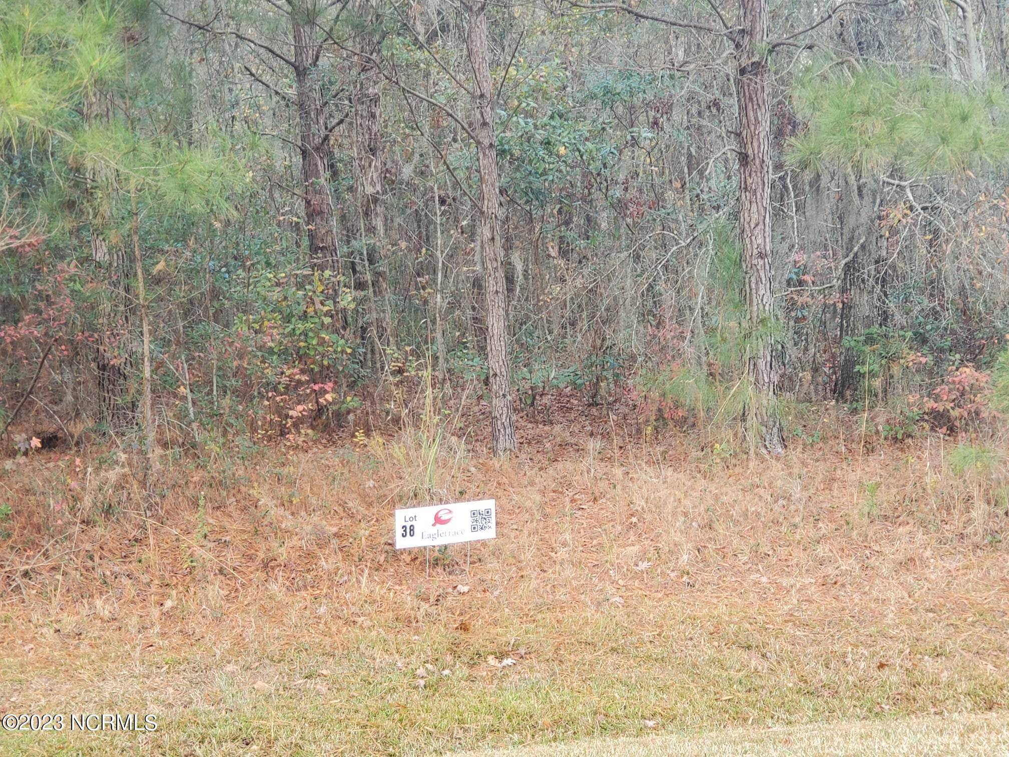 Blounts Creek, NC 27814,Lot 38 Eagle Trace DR