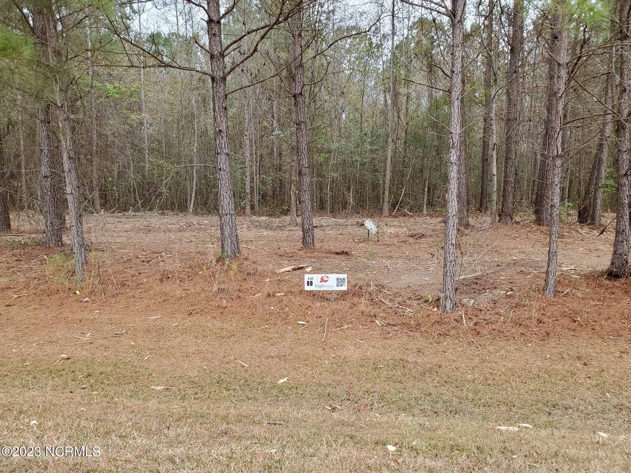 Blounts Creek, NC 27814,Lot 80 Eagle Trace DR