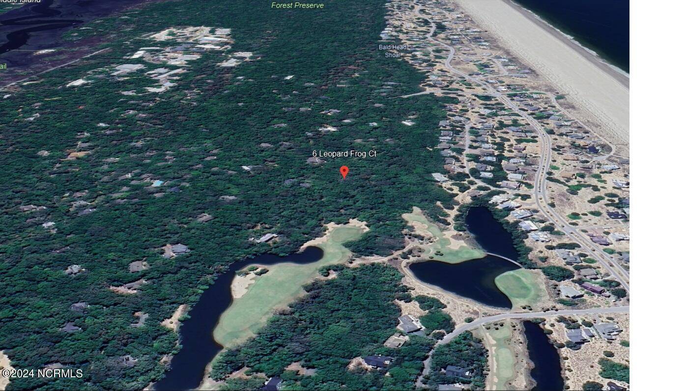 Bald Head Island, NC 28461,6 Leopard Frog CT