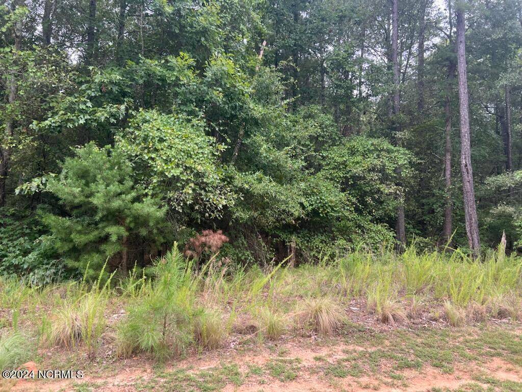 Rockingham, NC 28379,133 N State LN