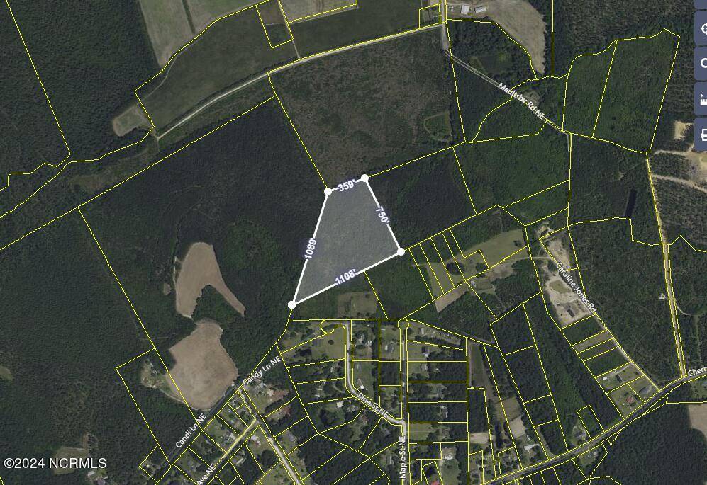 Winnabow, NC 28479,13.12 Ac Near 4967 Maultsby RD NE