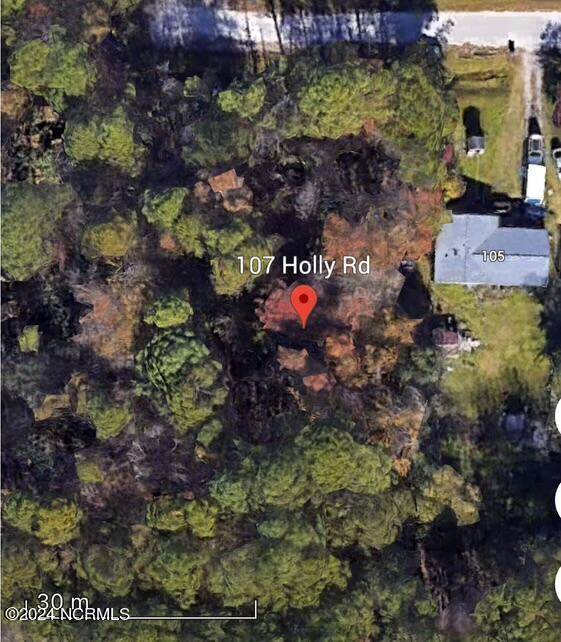 Castle Hayne, NC 28429,107 Holly Street RD