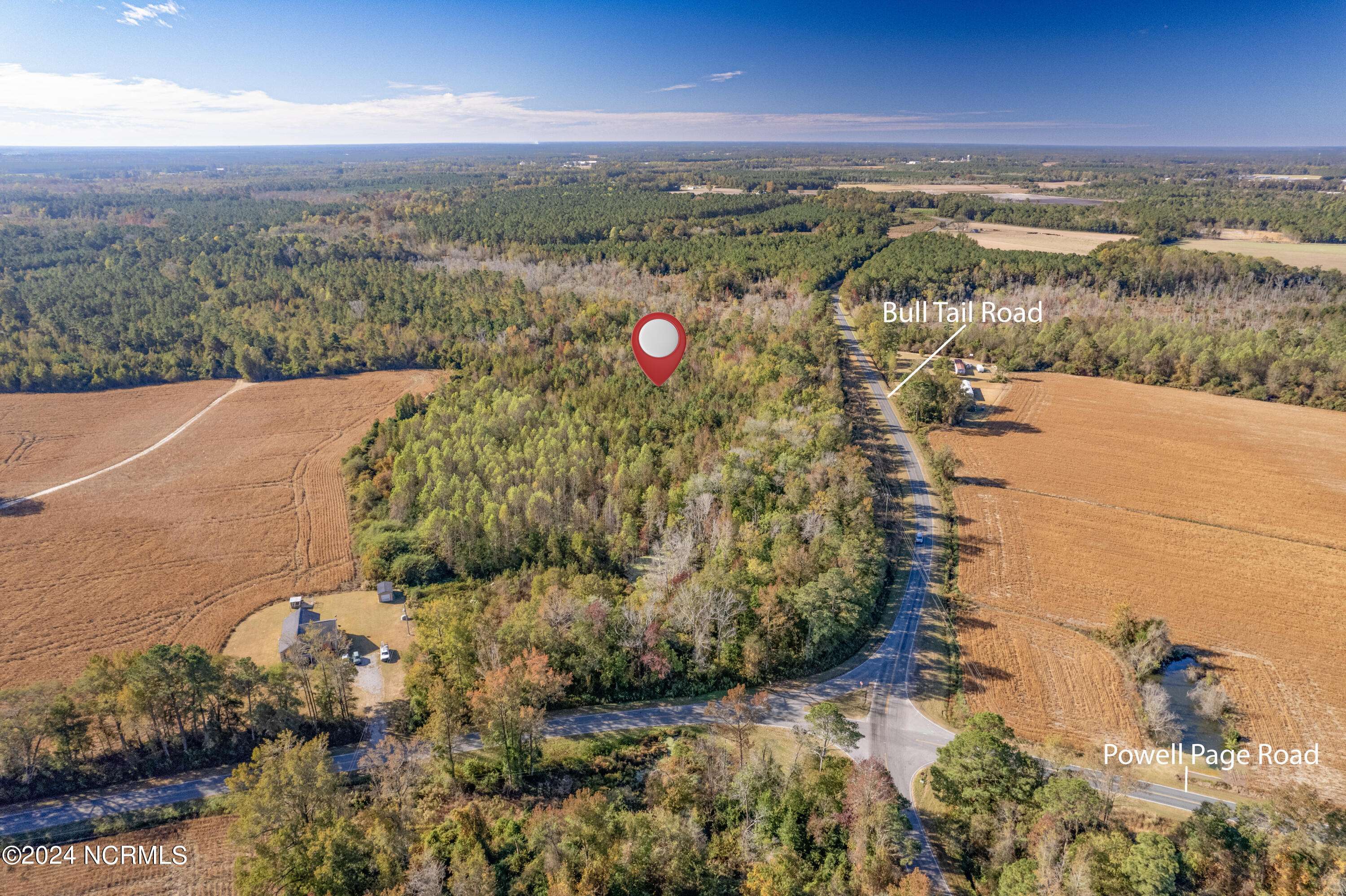 Wallace, NC 28466,Tbd Bull Tail RD