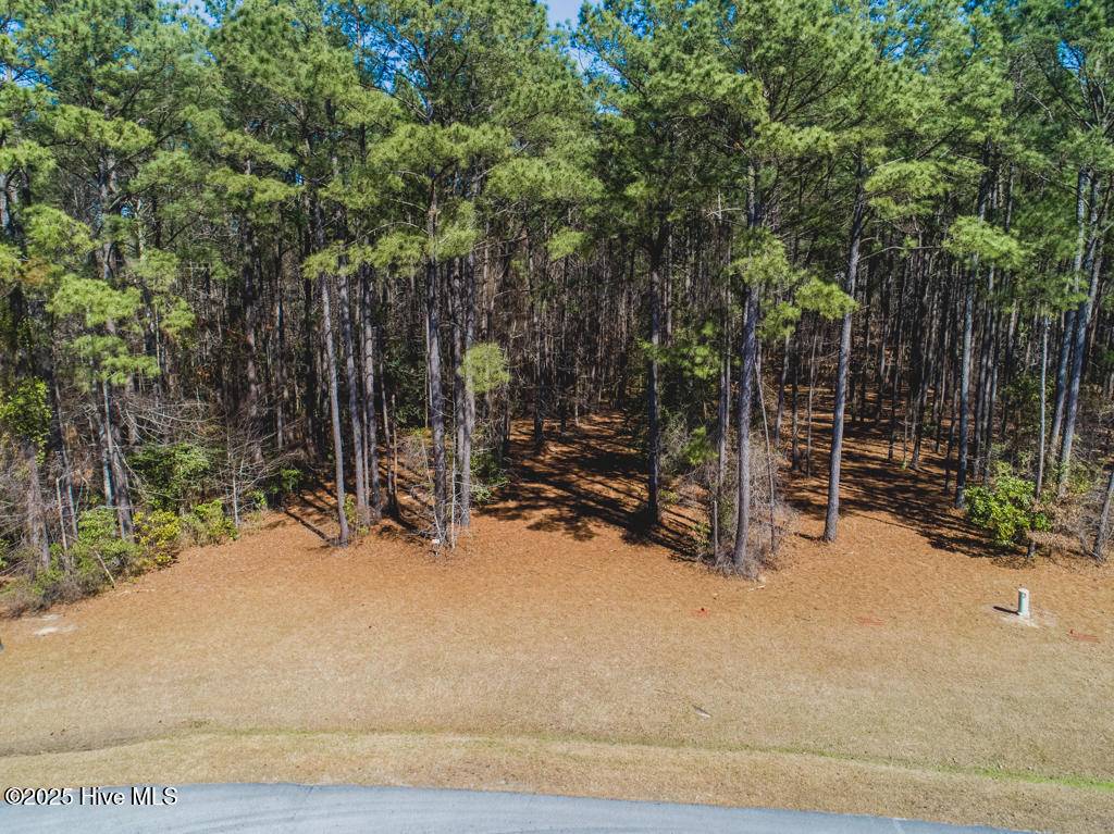 Minnesott Beach, NC 28510,94 Chickory LN
