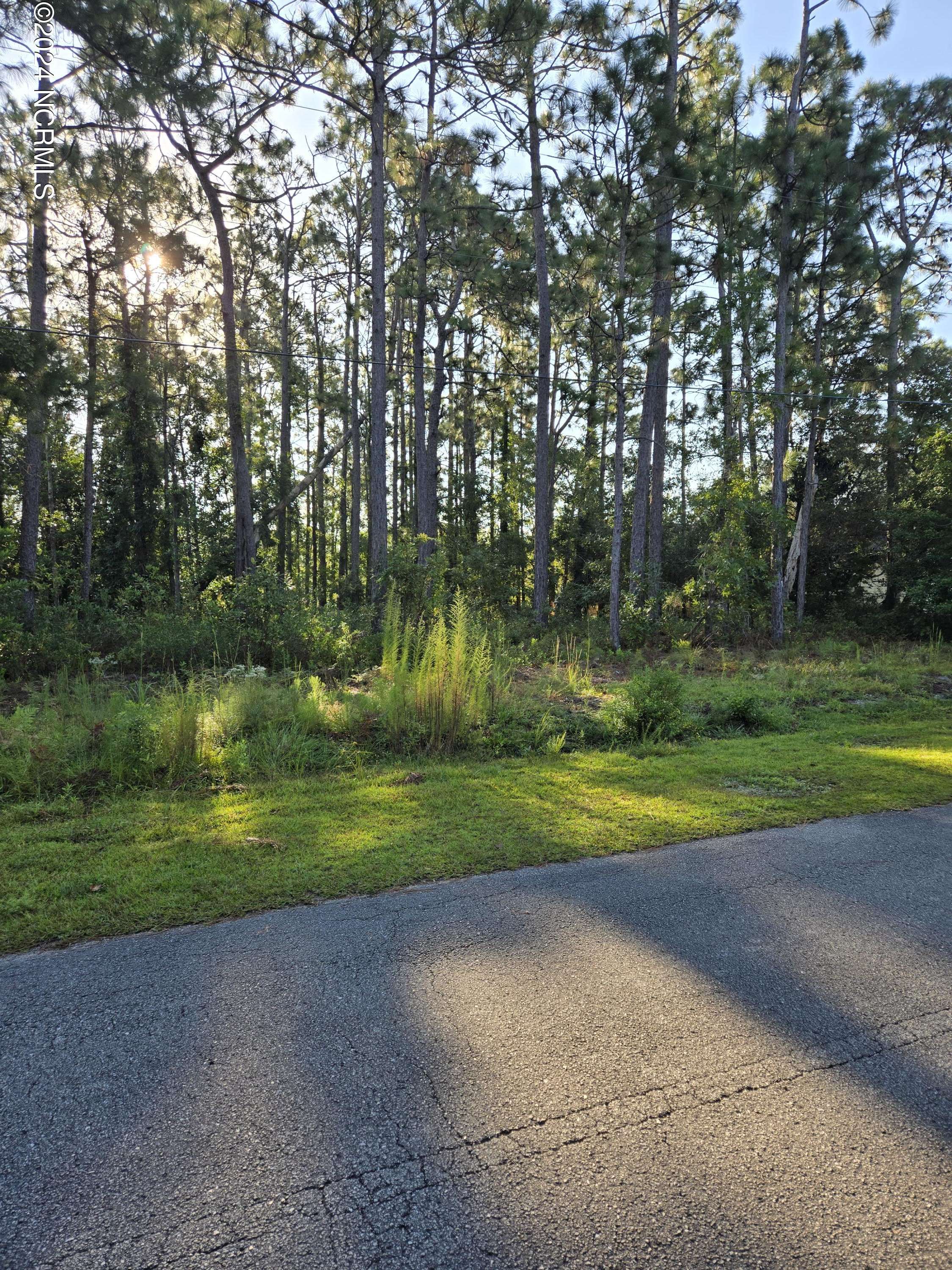 Southport, NC 28461,246 Harper Lake DR