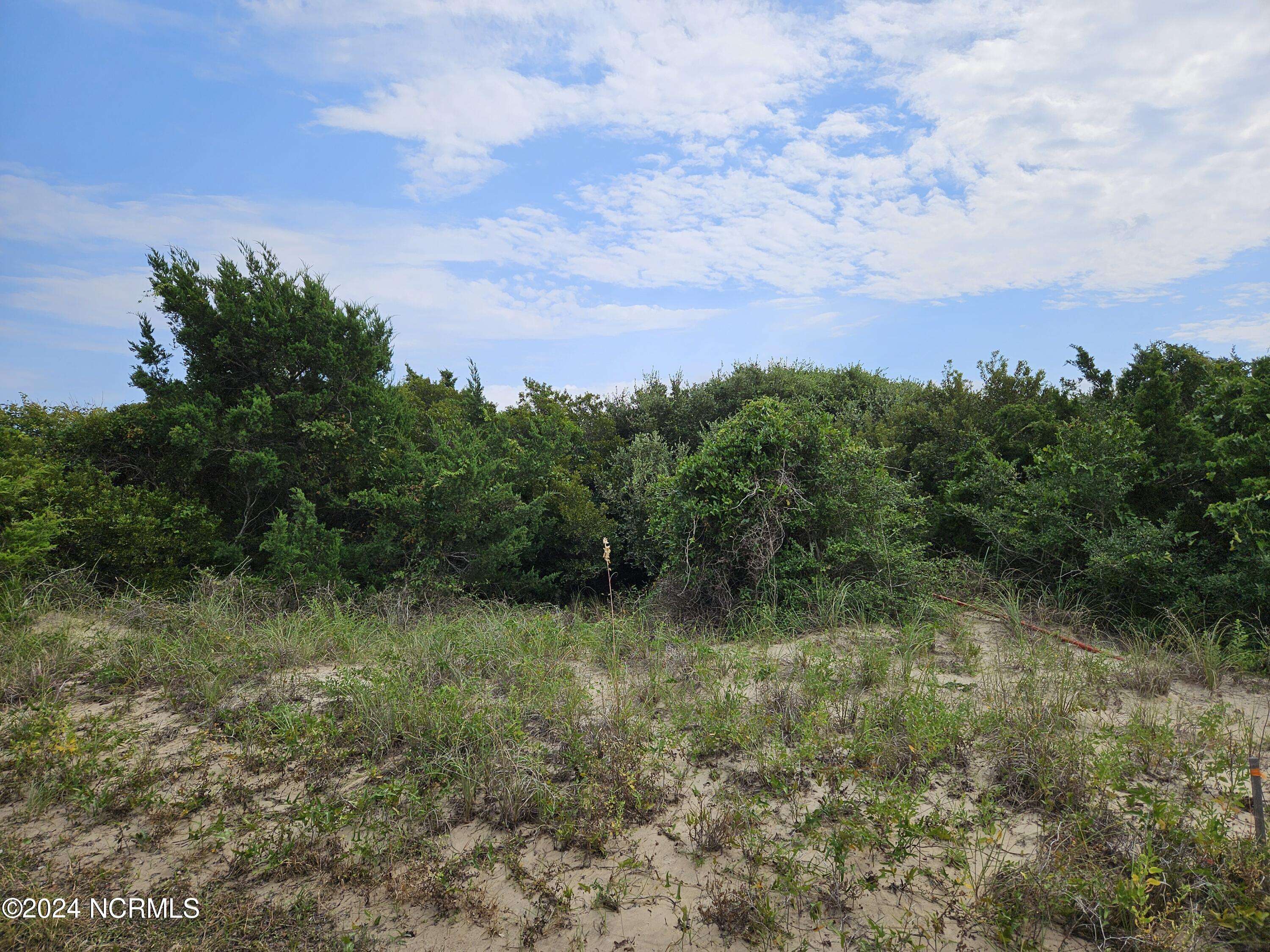 Bald Head Island, NC 28461,7 Waterthrush CT