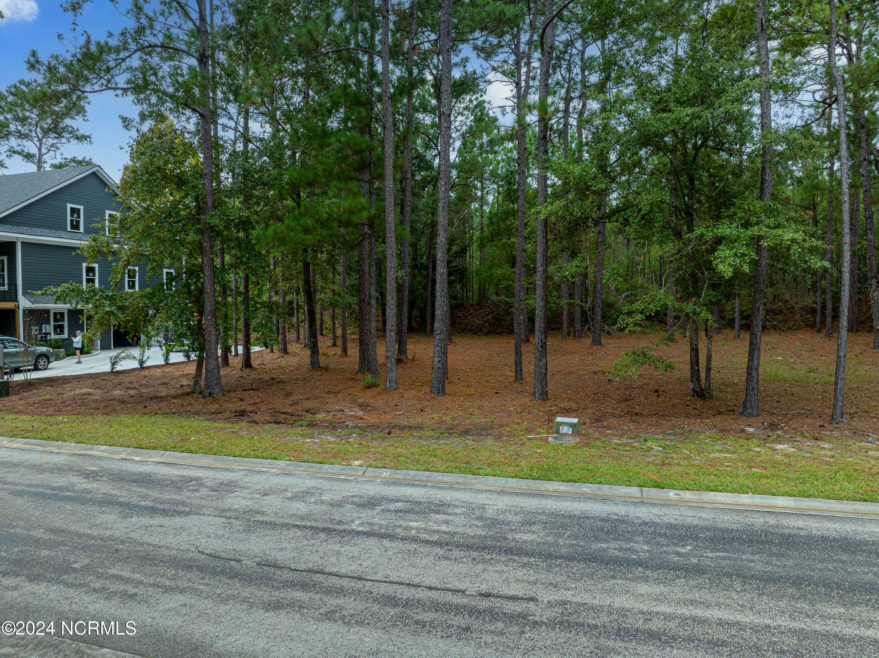 Bolivia, NC 28422,1179 Woodbridge LN SE