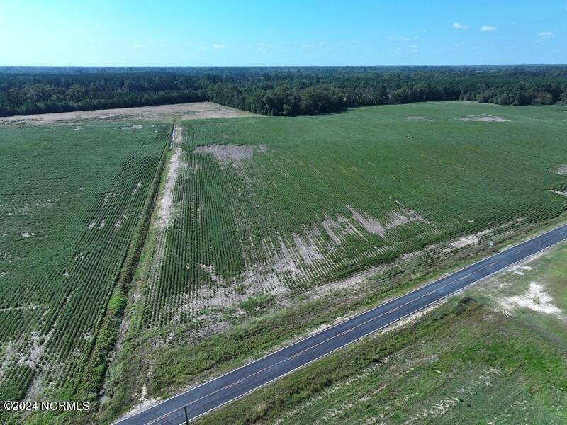 Fairmont, NC 28340,Tbd Cowpen Swamp RD