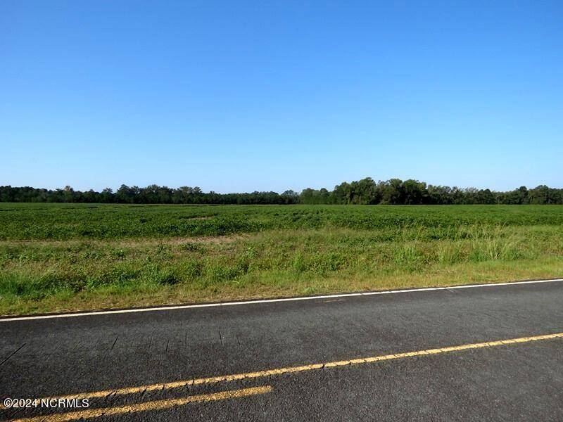 Fairmont, NC 28340,Tbd Cowpen Swamp RD