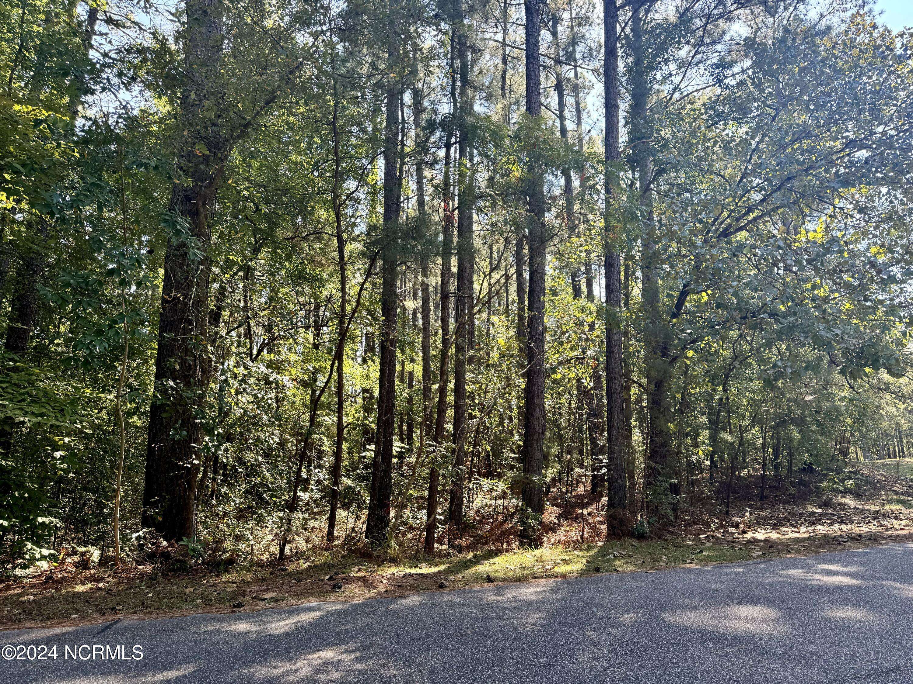 Wagram, NC 28396,0 Lakeshore DR