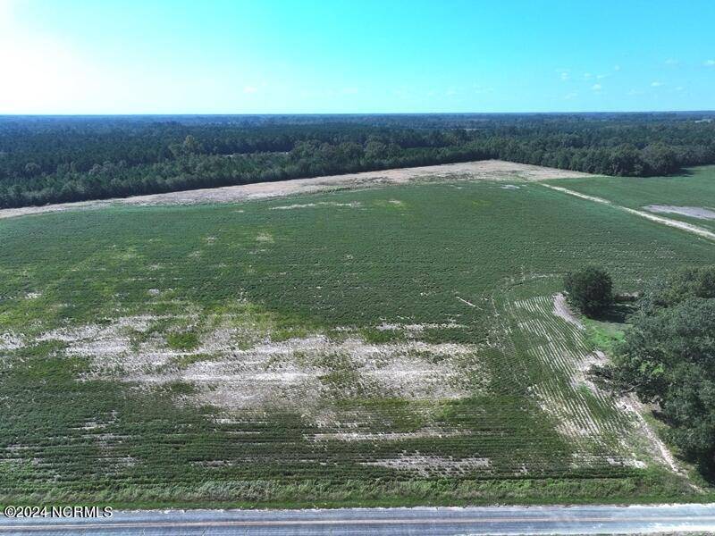 Fairmont, NC 28340,Tbd Cowpen Swamp RD