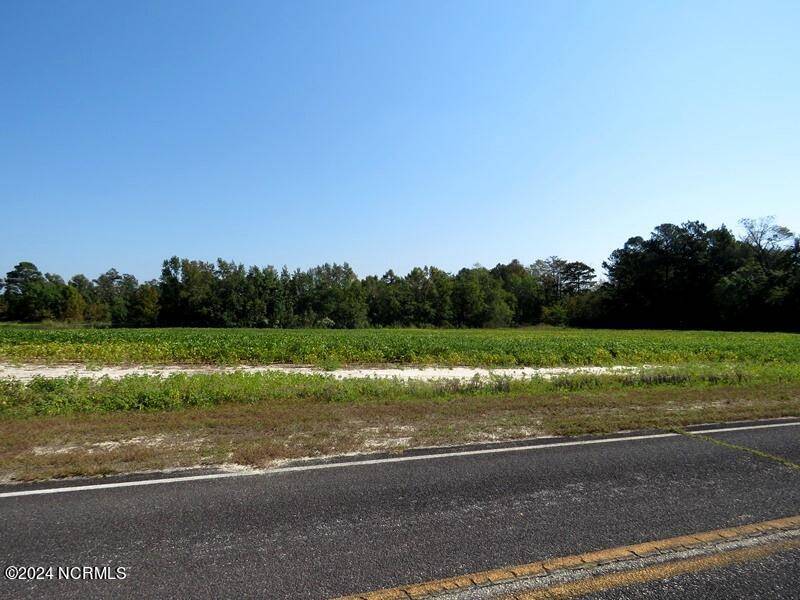 Fairmont, NC 28340,Tbd Cowpen Swamp RD