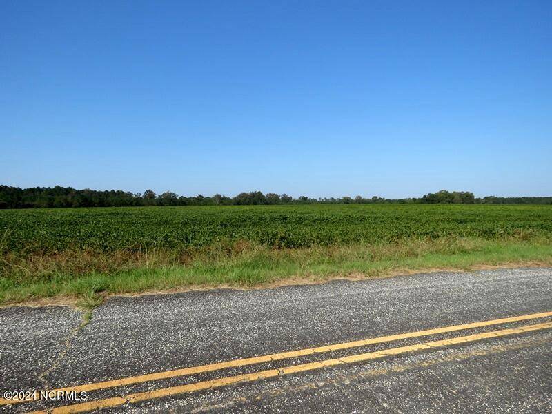 Fairmont, NC 28340,Tbd Cowpen Swamp RD