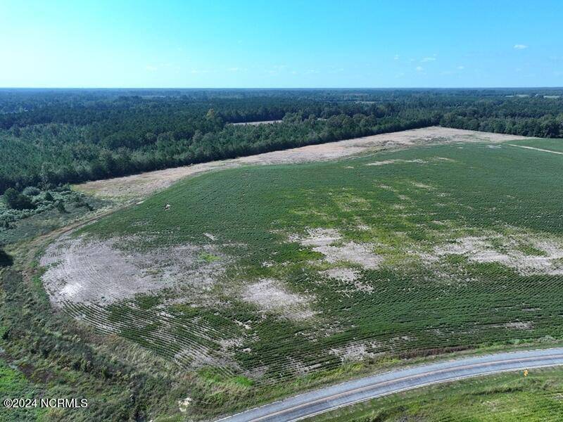 Fairmont, NC 28340,Tbd Cowpen Swamp RD