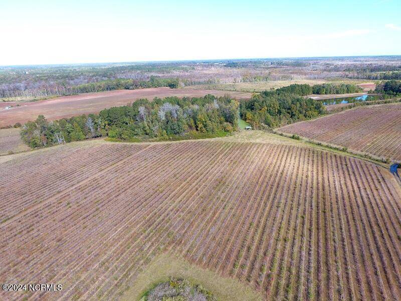 Tabor City, NC 28463,0 Near 9845 Swamp Fox Hwy E